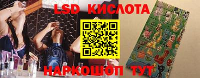 винт Новокубанск