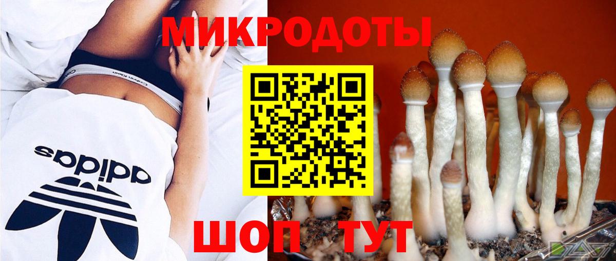 Реж  хочу   Вход с VPN  Галлюциногенные грибы ЛСД 